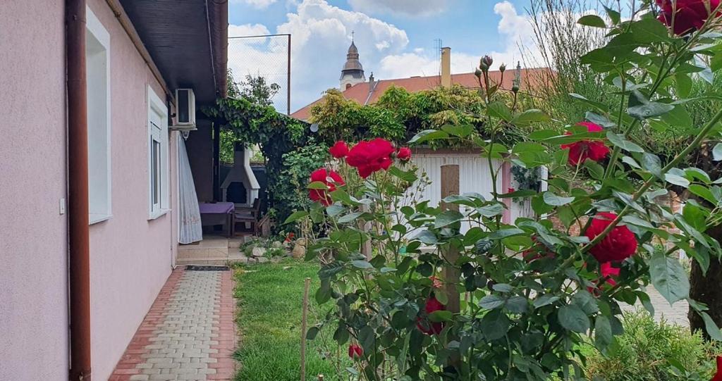 Apartment Ksenija *